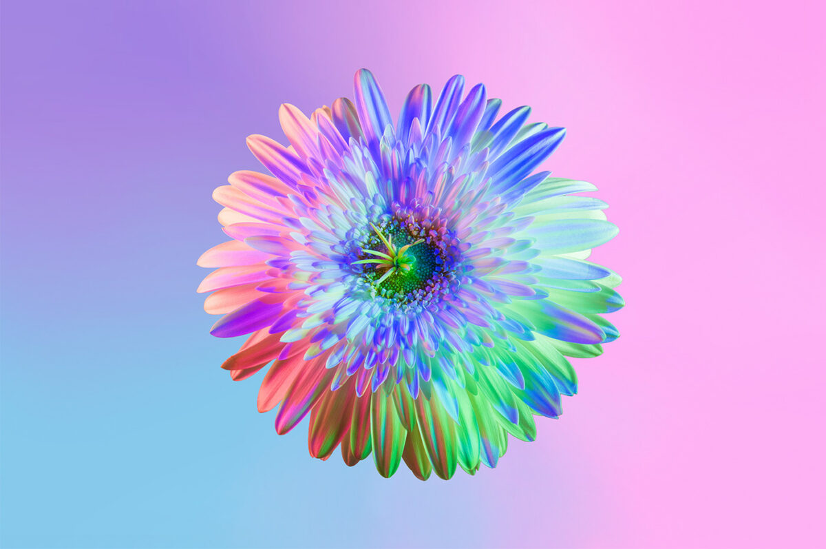 Neon Flowers Series By Claire Boscher 04