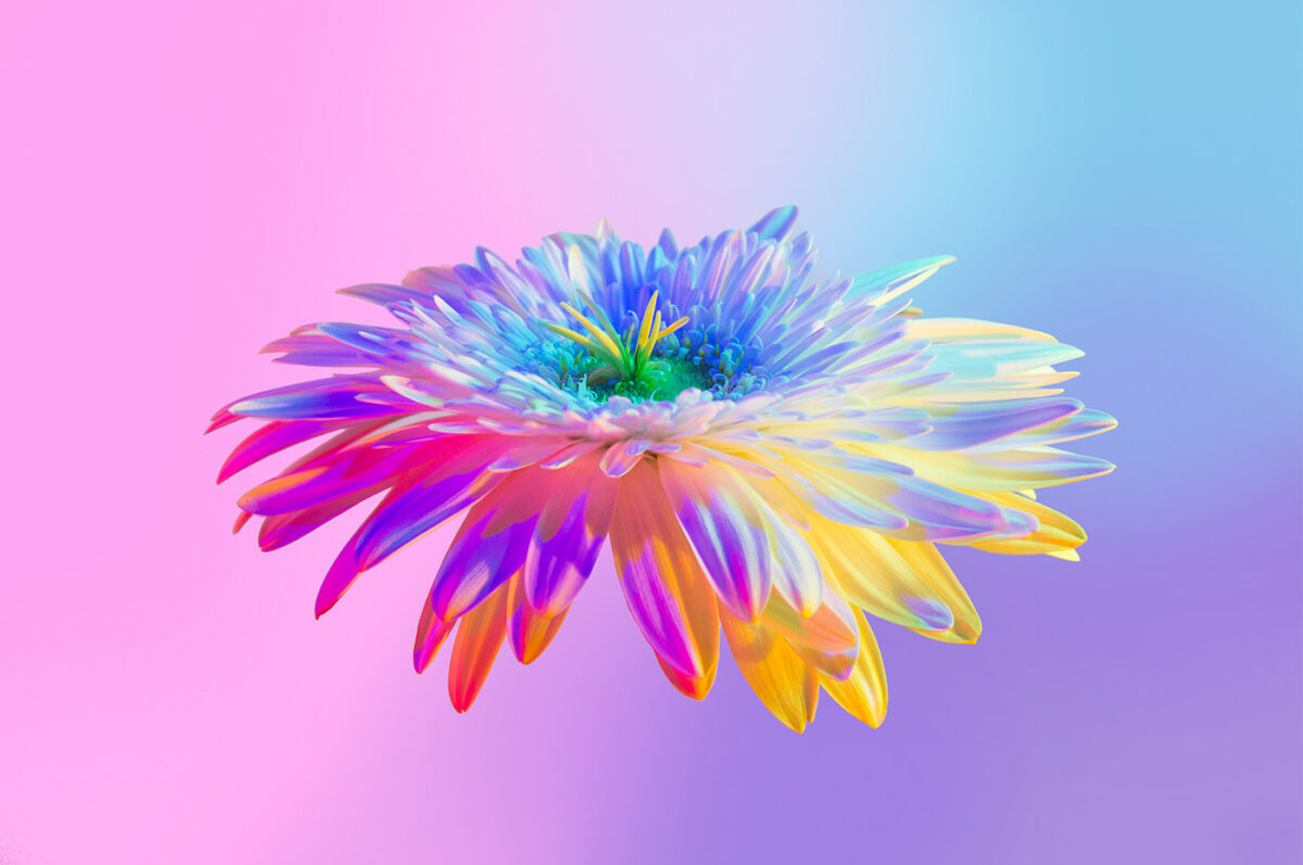 Neon Flowers Series By Claire Boscher 09