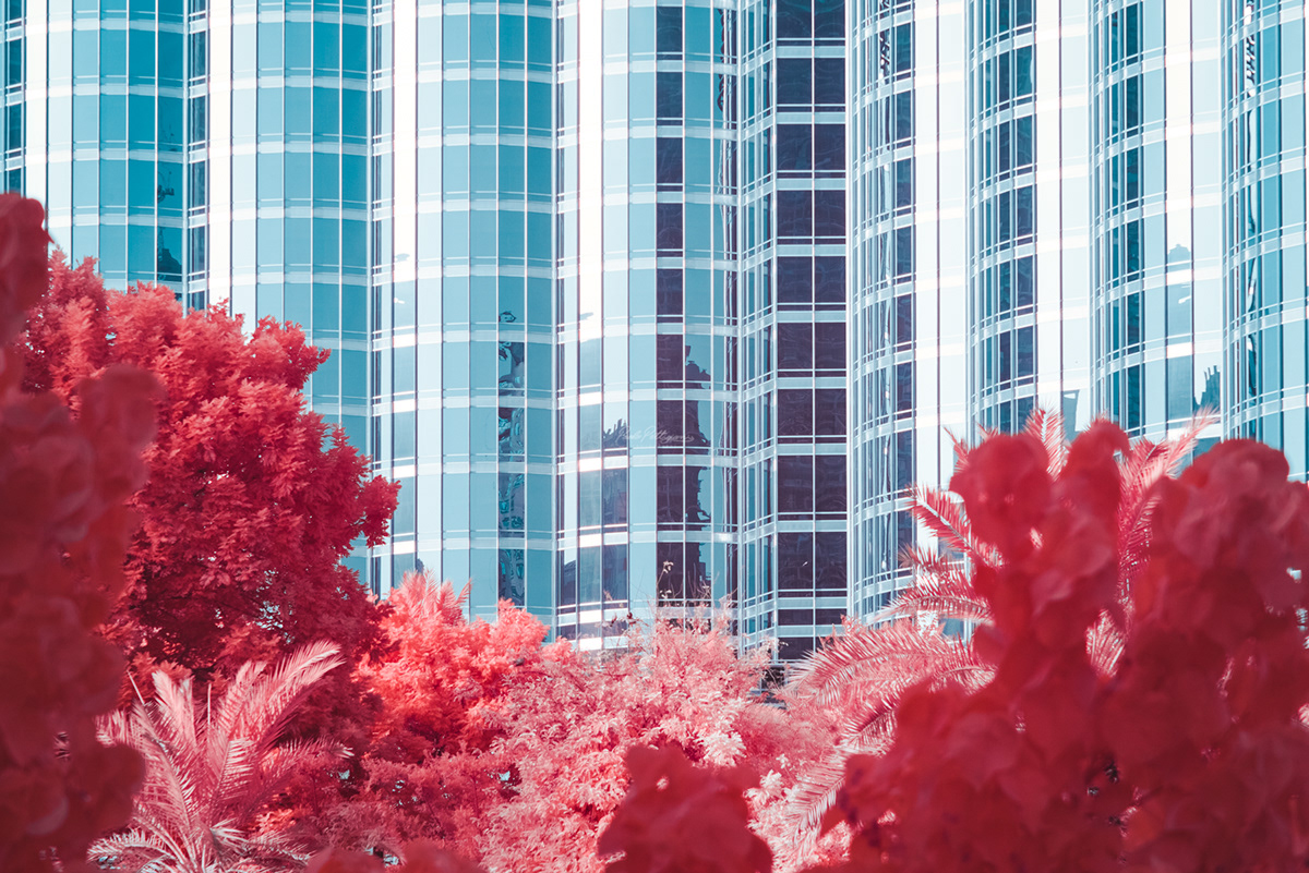 Superb Photographs Of Dubai In Infrared By Paolo Pettigiani 6