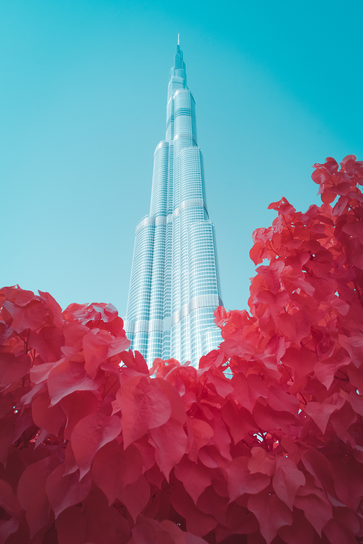 Superb Photographs Of Dubai In Infrared By Paolo Pettigiani 7