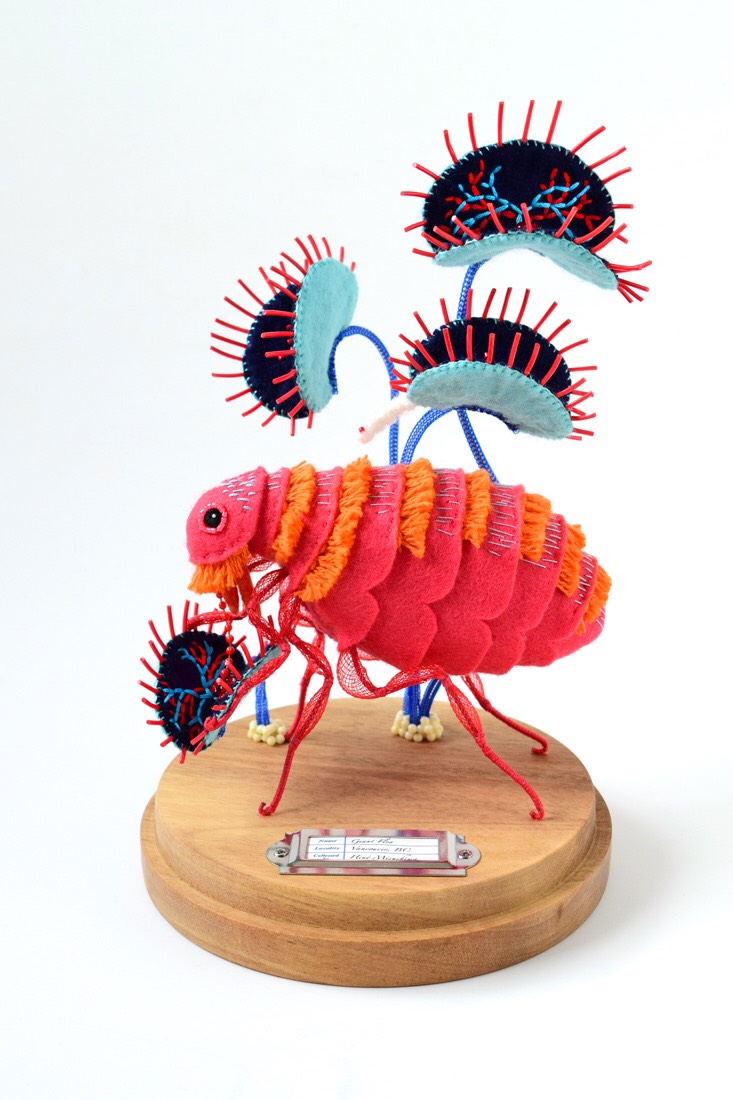 Beautiful And Bizarre Insect Plush Sculptures By Hine Mizushima 3