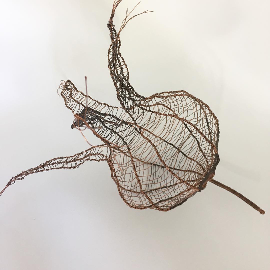 Fascinating Organic Shaped Copper Wire Sculptures By Sally Blake 1