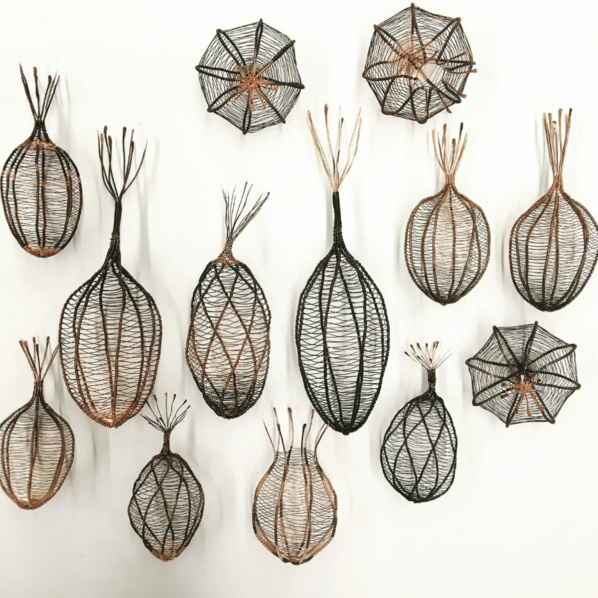 Fascinating Organic Shaped Copper Wire Sculptures By Sally Blake 11
