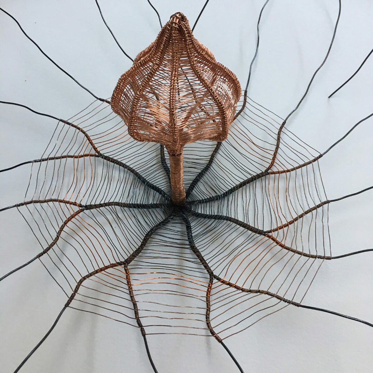 Fascinating Organic Shaped Copper Wire Sculptures By Sally Blake 12
