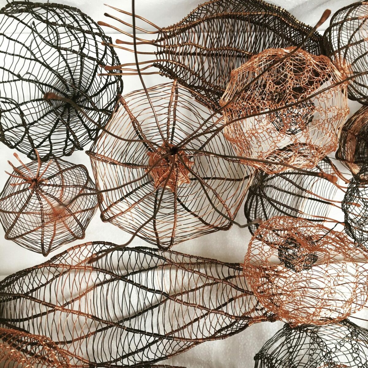 Fascinating Organic Shaped Copper Wire Sculptures By Sally Blake 14