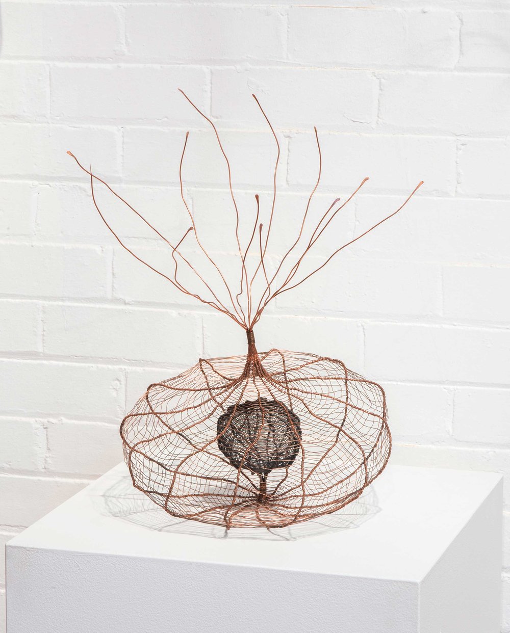 Fascinating Organic Shaped Copper Wire Sculptures By Sally Blake 15