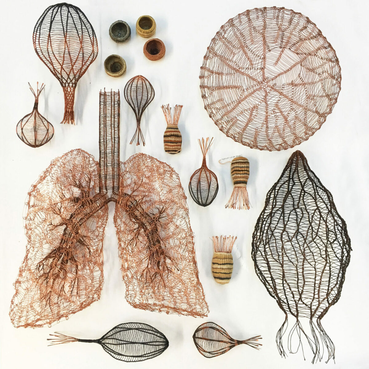 Fascinating Organic Shaped Copper Wire Sculptures By Sally Blake 7