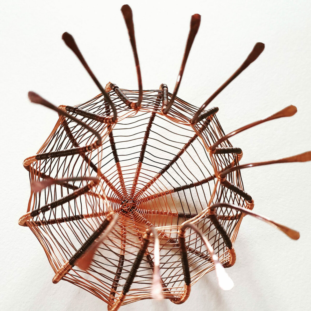Fascinating Organic Shaped Copper Wire Sculptures By Sally Blake 8