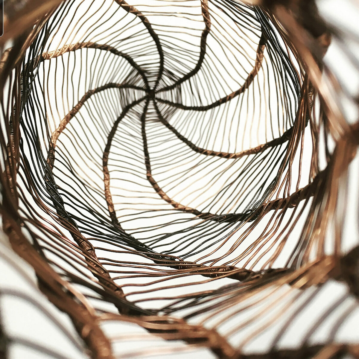 Fascinating Organic Shaped Copper Wire Sculptures By Sally Blake 9