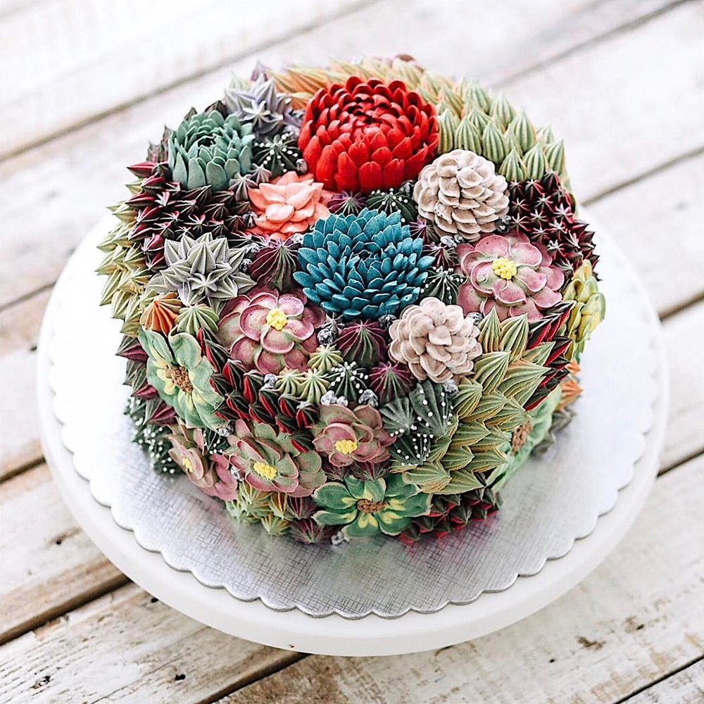 Superb Succulent Based Cakes By Iven Kawi 3