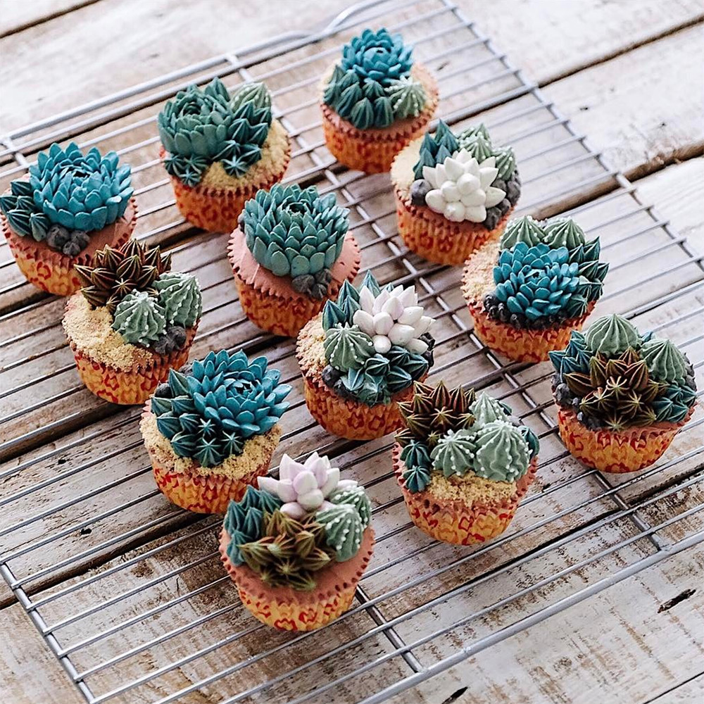 Superb Succulent Based Cakes By Iven Kawi 6