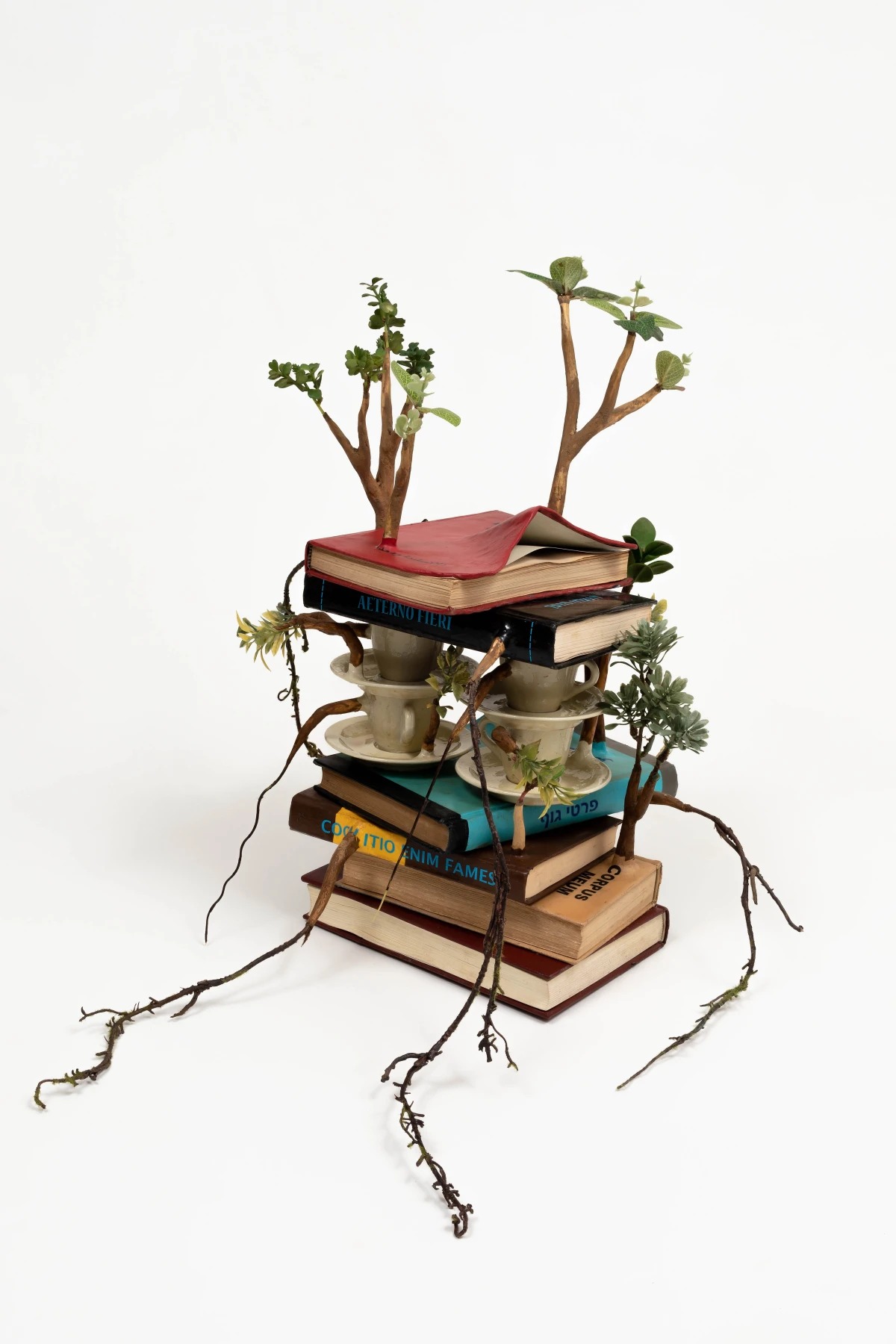 Art And Nature Humorous Wooden Sculptures With Sprouted Wooden Limbs By Camille Kachani 2