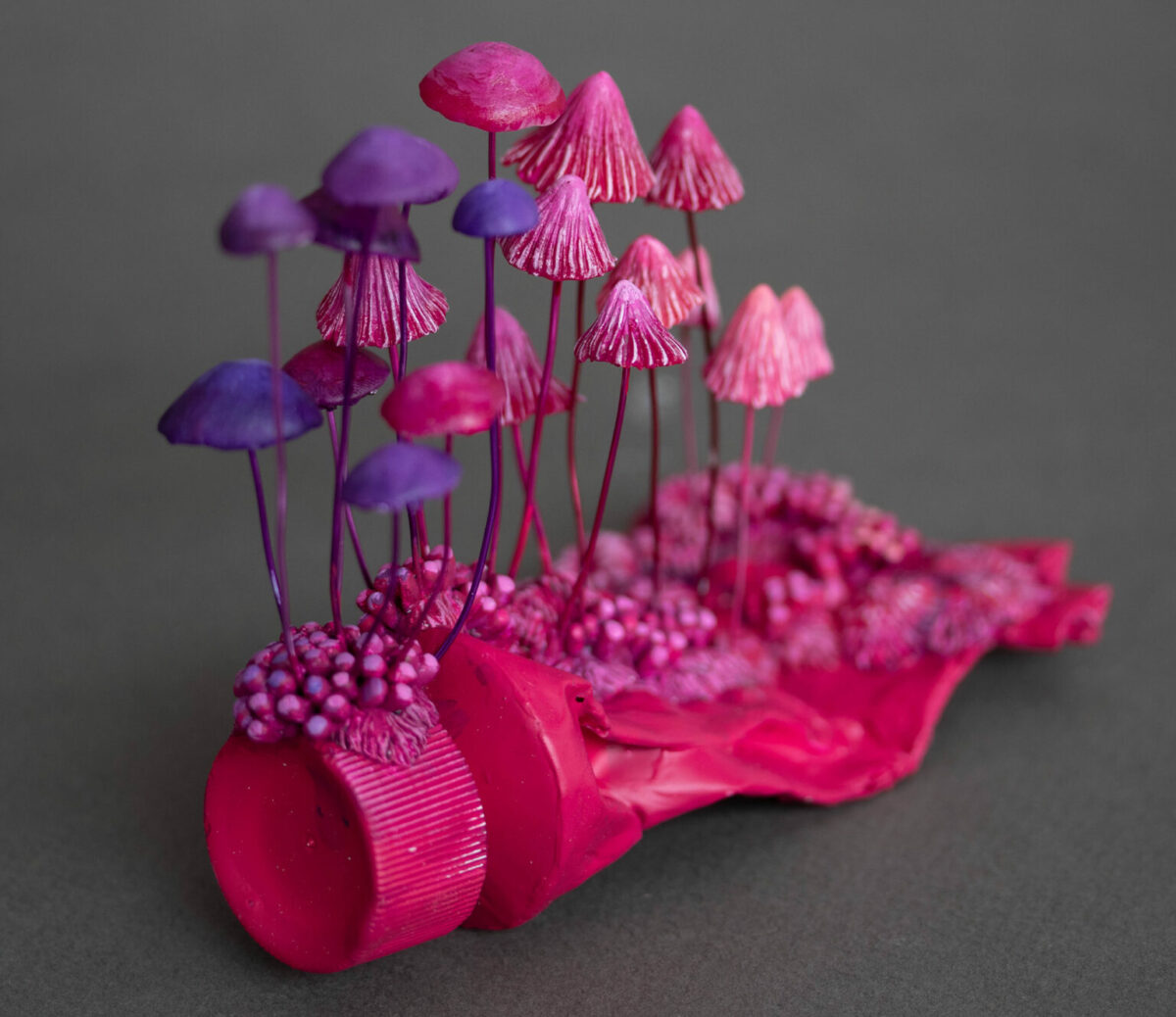 Discarded Objects Populated With Colorful Plant Coral And Fungus Sculptures By Stephanie Kilgast 5