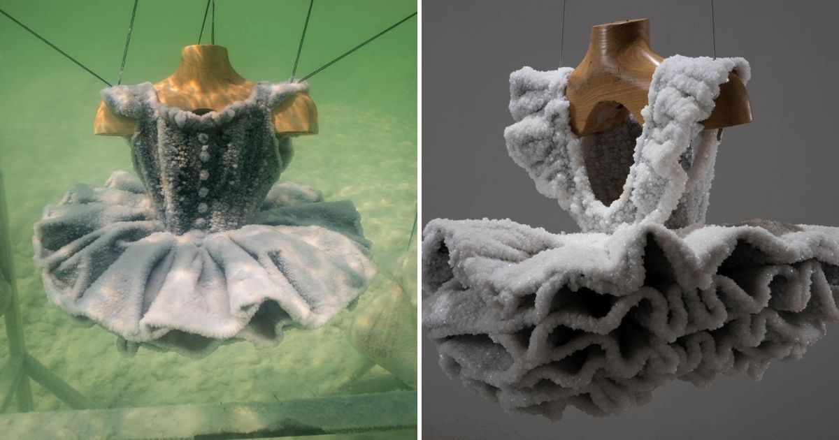 Everyday Objects Submerged In The Dead Sea Transform Into Amazing Salt Sculptures By Sigalit Landau 1