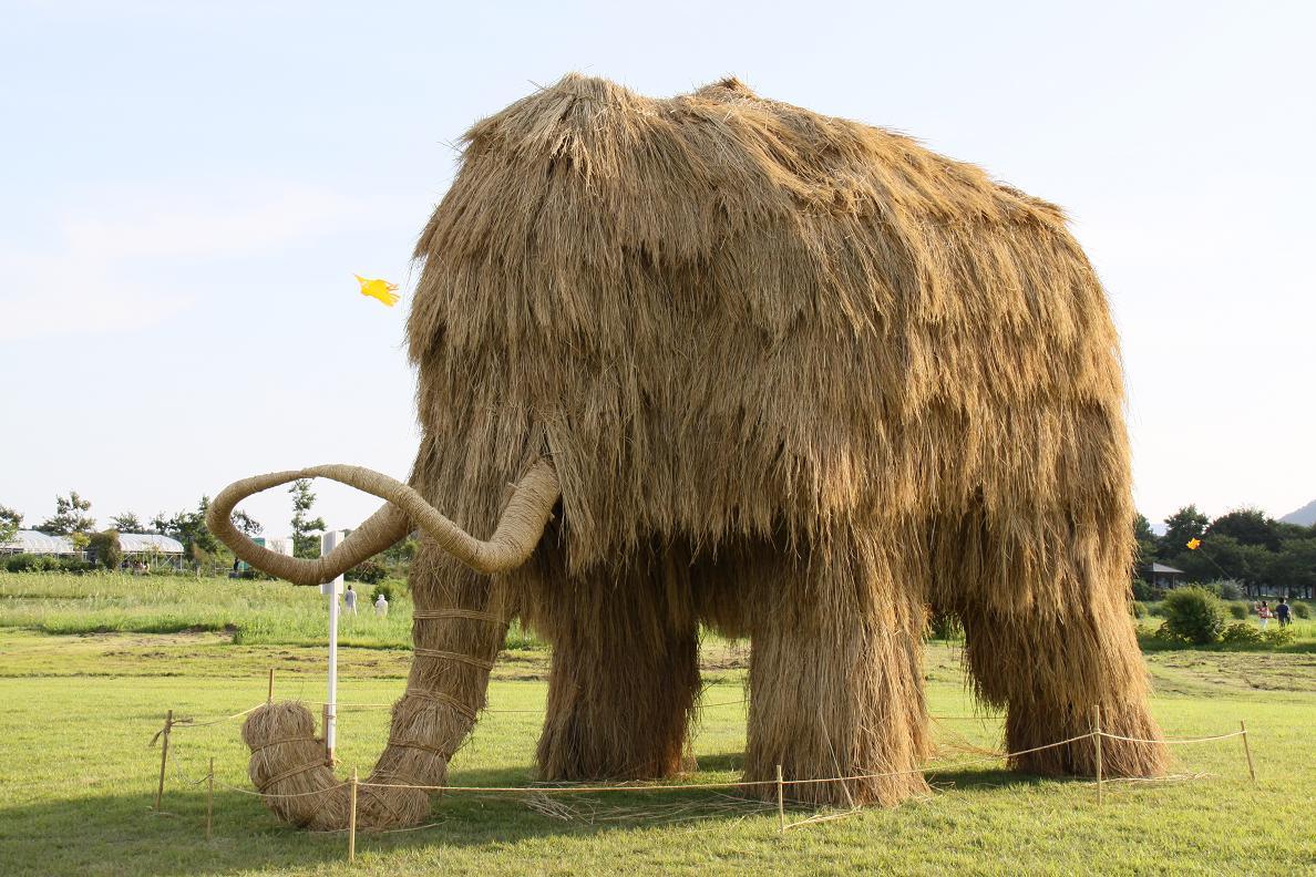 Giant Animal Sculptures Made From Massive Bundles Of Straws For The Wara Art Festival 1