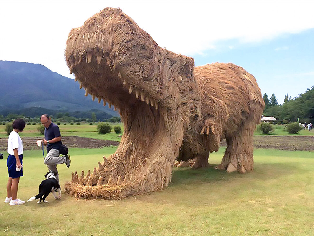 Giant Animal Sculptures Made From Massive Bundles Of Straws For The Wara Art Festival 6