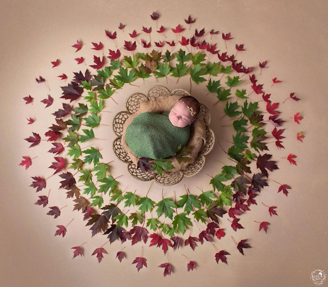 Gorgeous Photographs Of Babies In Natural Mandalas By Gaba Svarbu 1
