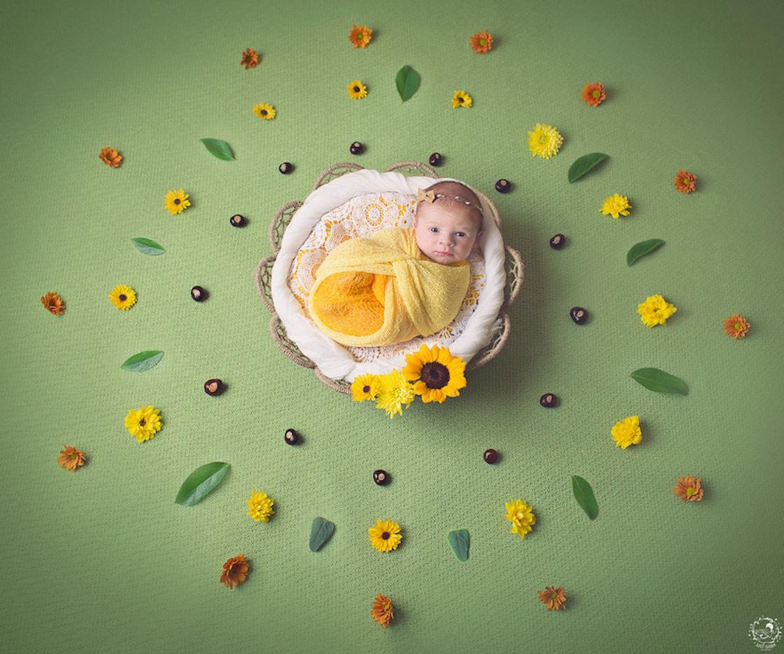 Gorgeous Photographs Of Babies In Natural Mandalas By Gaba Svarbu 13