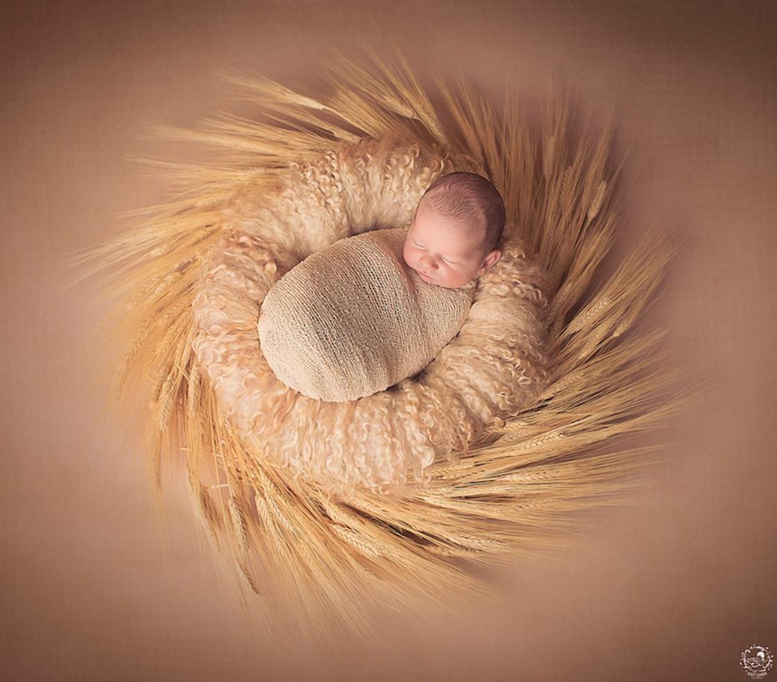 Gorgeous Photographs Of Babies In Natural Mandalas By Gaba Svarbu 2