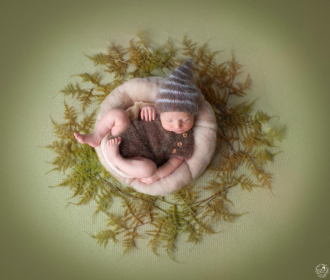 Gorgeous Photographs Of Babies In Natural Mandalas By Gaba Svarbu 9