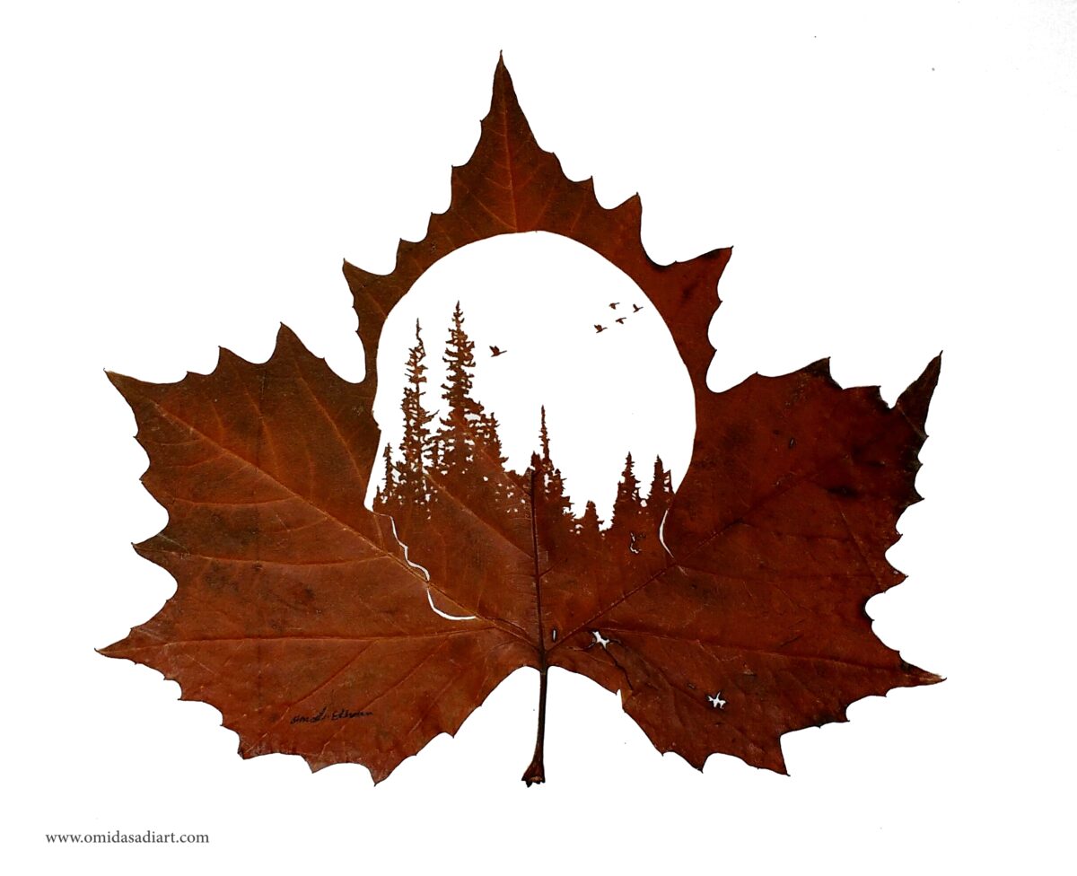 The Extraordinary Leaf Art Of Omid Asadi 13