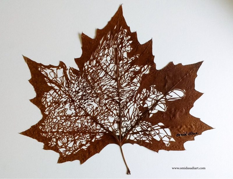 The Extraordinary Leaf Art Of Omid Asadi 15