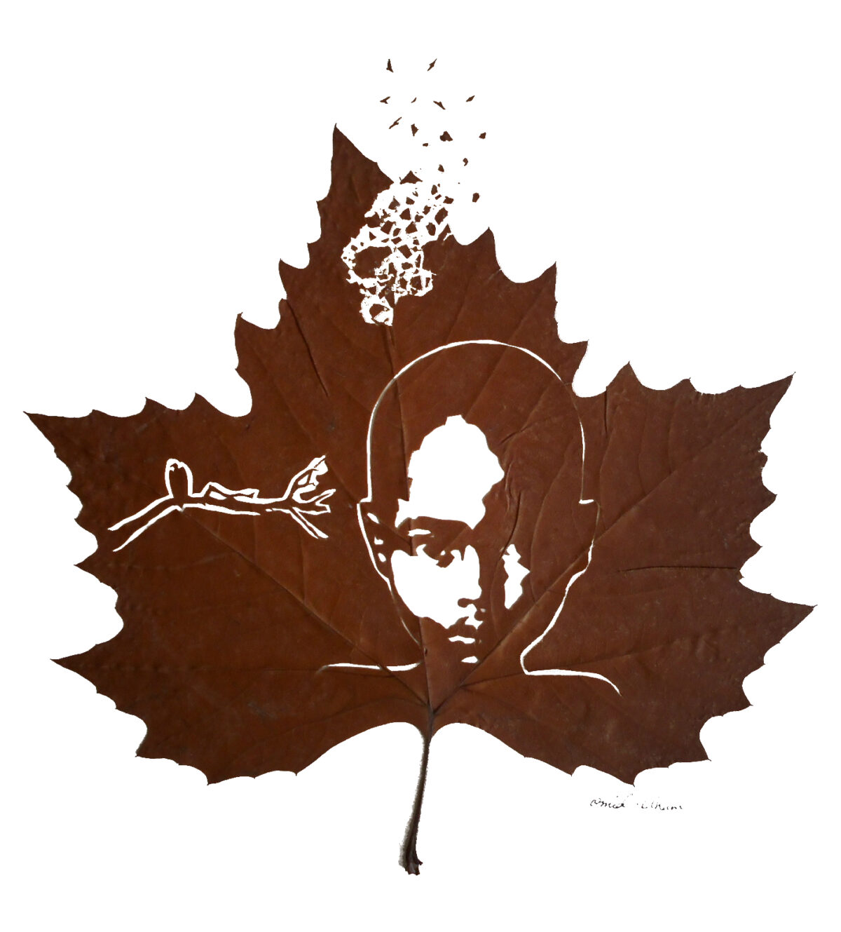 The Extraordinary Leaf Art Of Omid Asadi 2