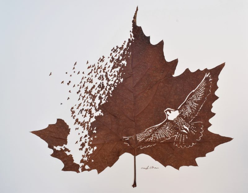 The Extraordinary Leaf Art Of Omid Asadi 4