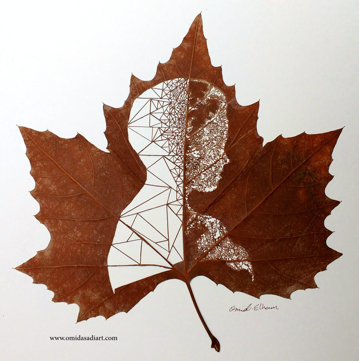 The Extraordinary Leaf Art Of Omid Asadi 5