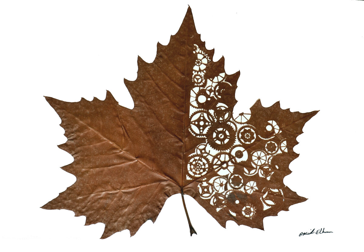 The Extraordinary Leaf Art Of Omid Asadi 6