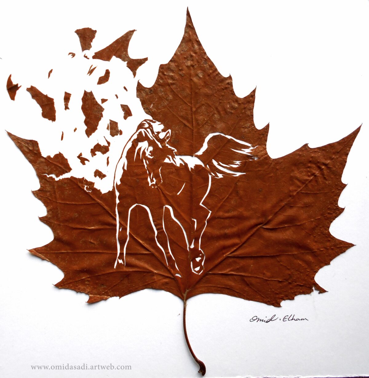 The Extraordinary Leaf Art Of Omid Asadi 7
