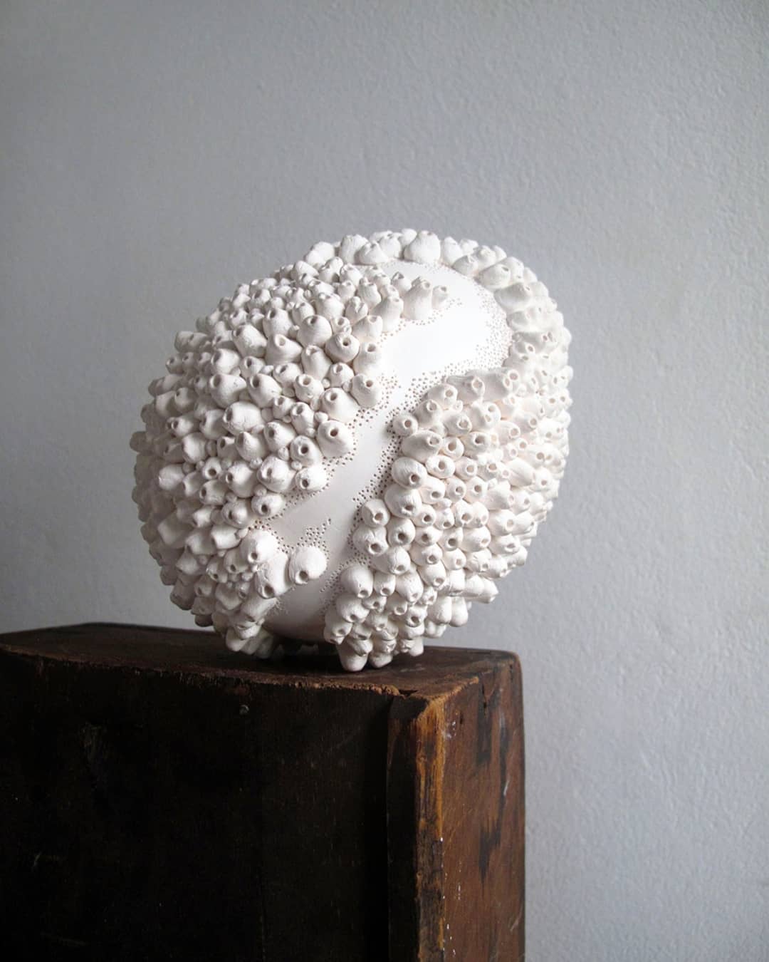 The Intriguing And Unique Ceramic Art The Plays With Organic Shapes Of Anna Whitehouse 1