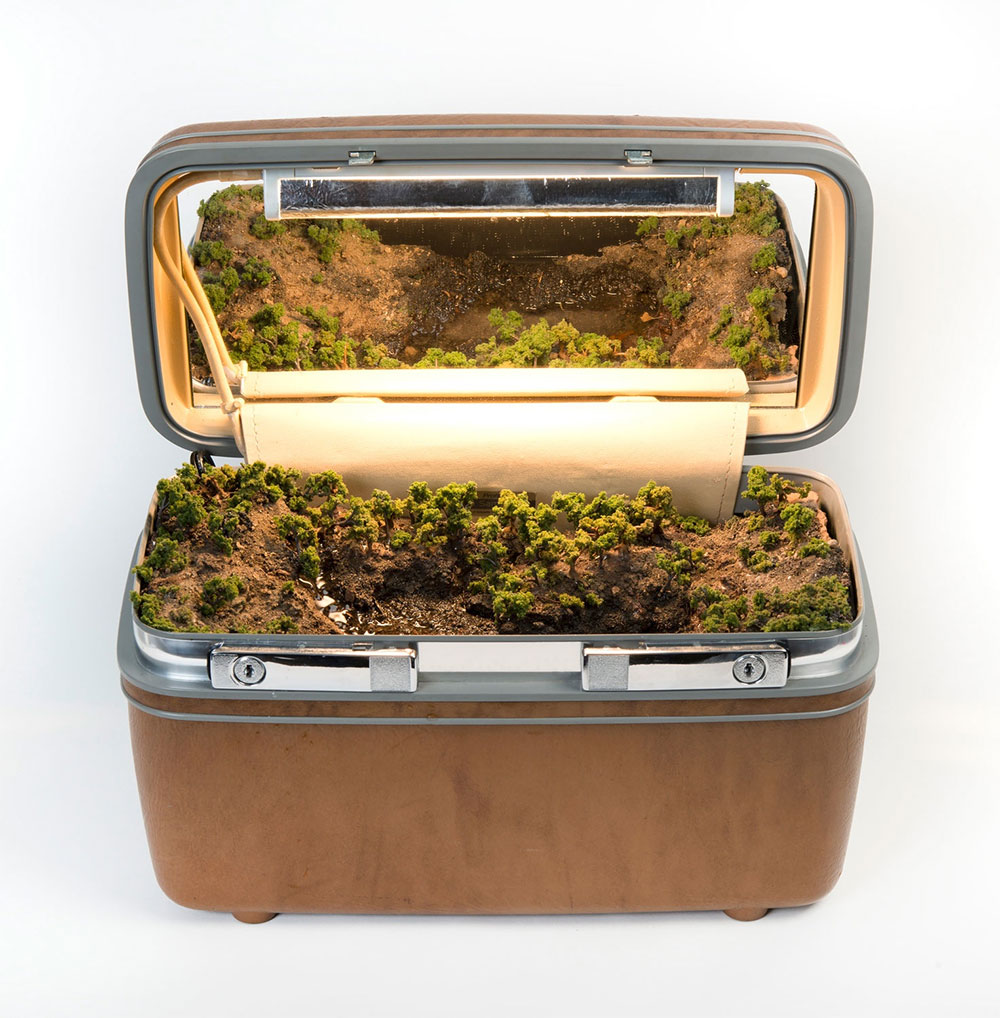 Traveling Landscapes Incredible Miniature Ecosystems Kept Inside Vintage Suitcases By Kathleen Vance 1
