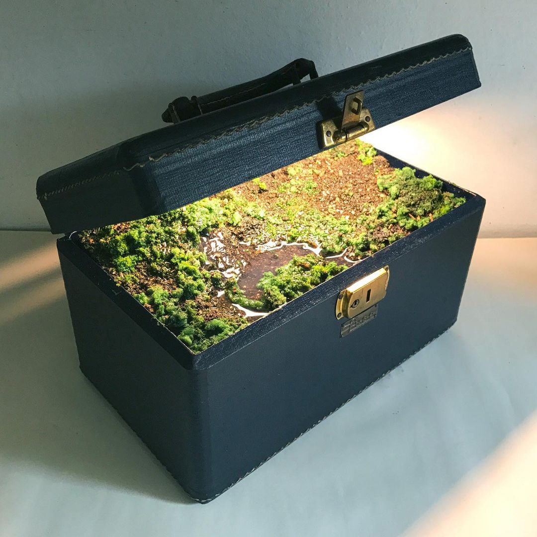 Traveling Landscapes Incredible Miniature Ecosystems Kept Inside Vintage Suitcases By Kathleen Vance 10