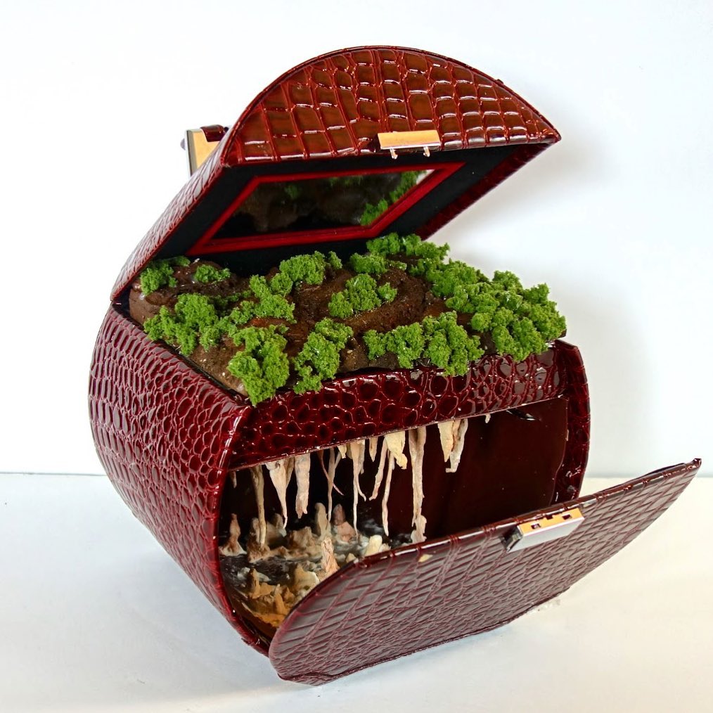 Traveling Landscapes Incredible Miniature Ecosystems Kept Inside Vintage Suitcases By Kathleen Vance 11