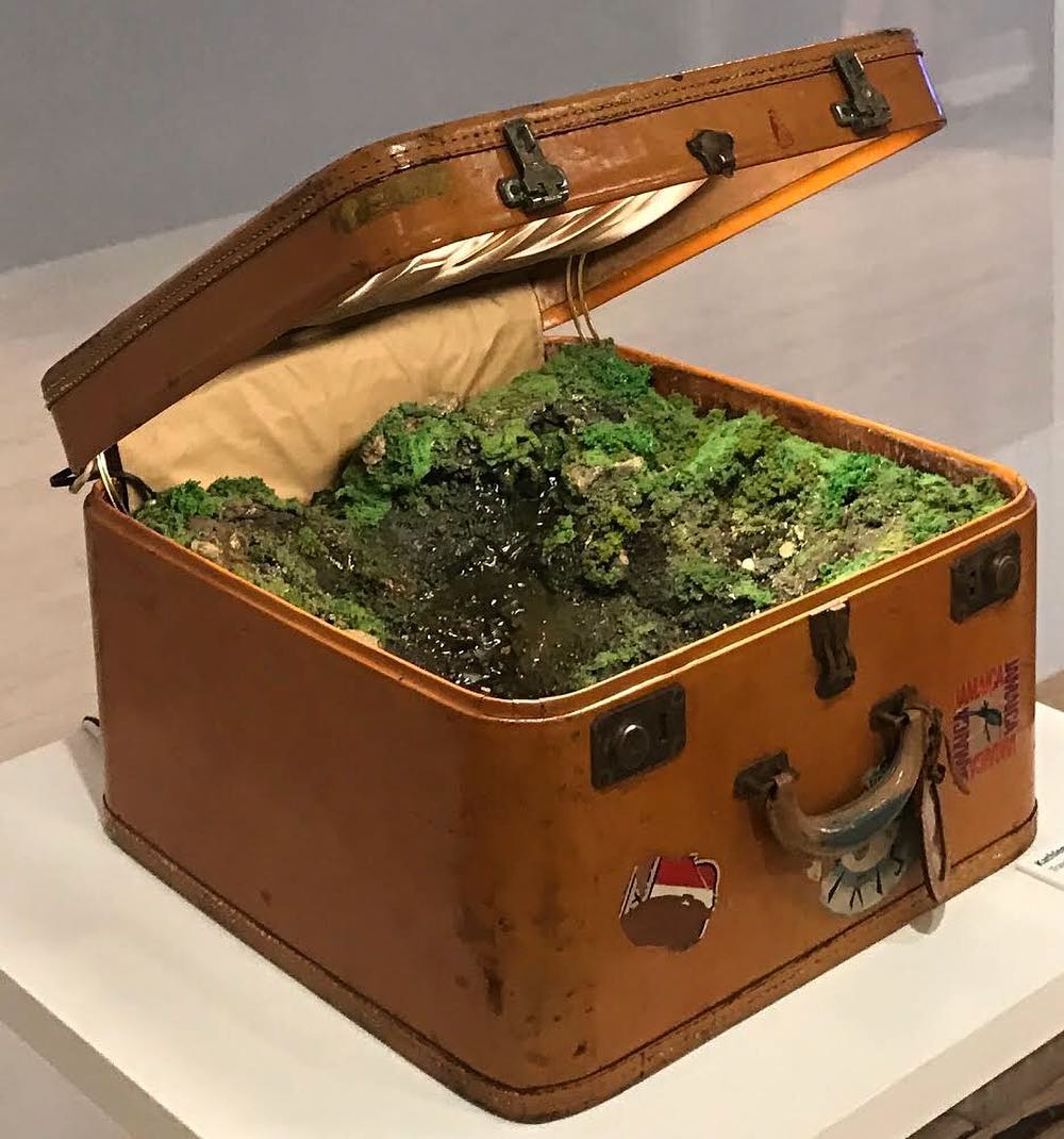 Traveling Landscapes Incredible Miniature Ecosystems Kept Inside Vintage Suitcases By Kathleen Vance 12