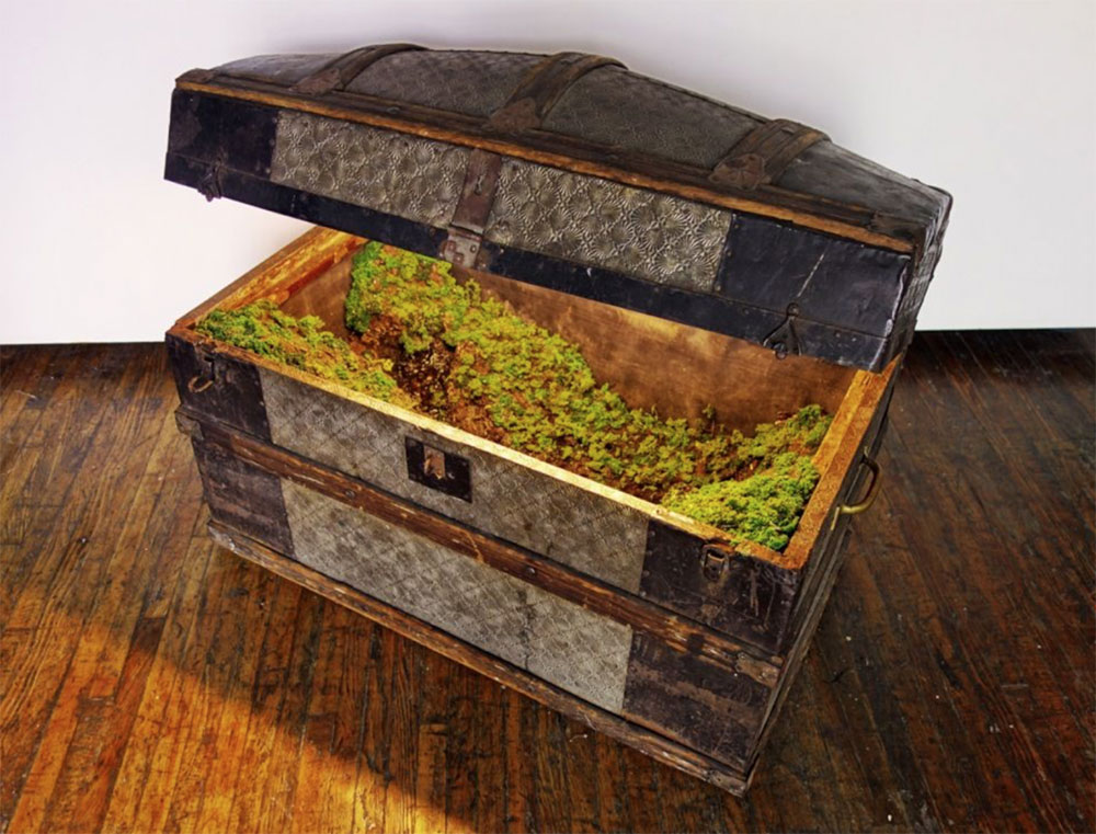 Traveling Landscapes Incredible Miniature Ecosystems Kept Inside Vintage Suitcases By Kathleen Vance 5