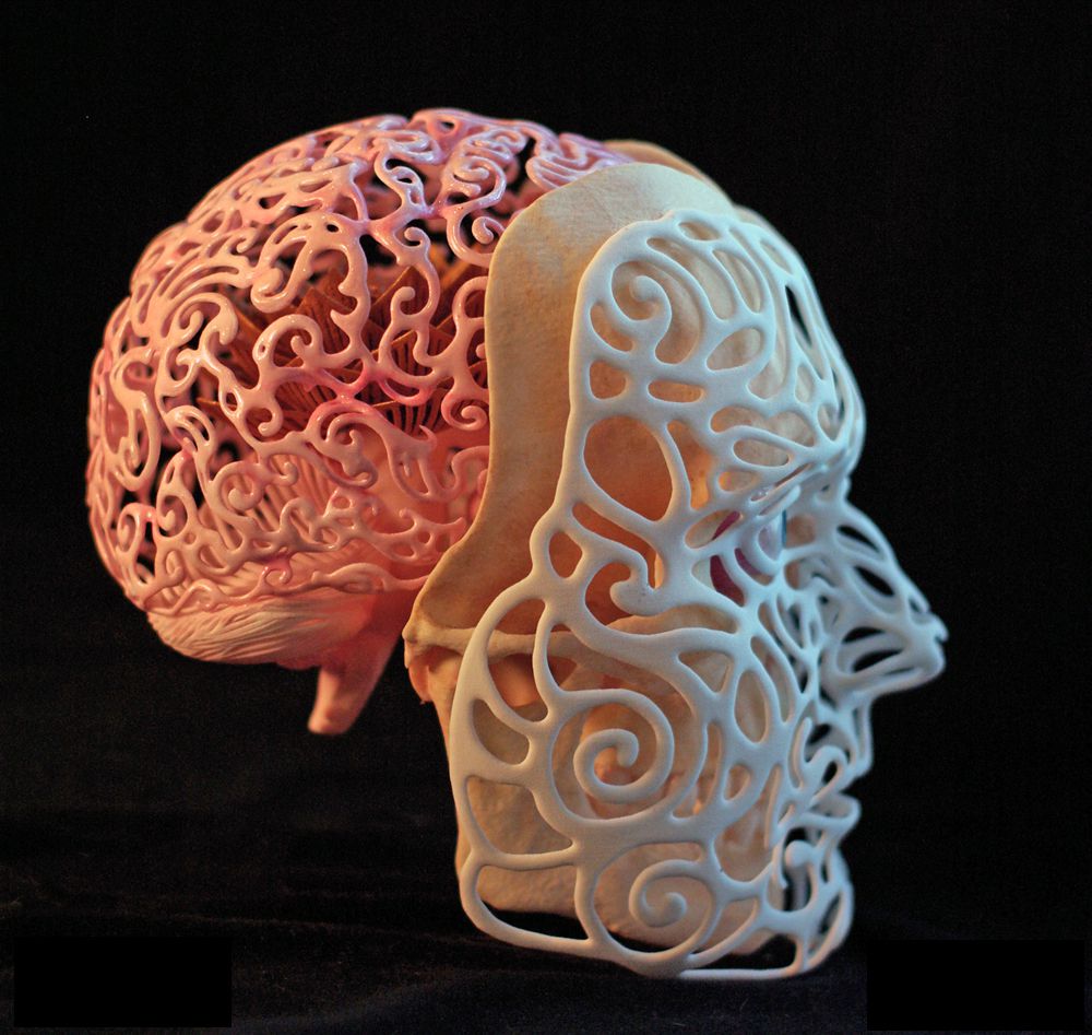 21st Century Self Portrait An Incredible Anatomical 3d Printed Sculpture By Joshua Harker 3
