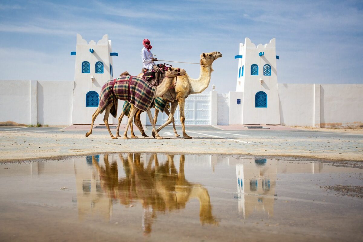 Camel Race A Captivating Photography Series By Alexandre Mounayer 1
