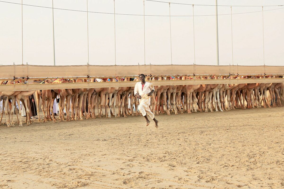 Camel Race A Captivating Photography Series By Alexandre Mounayer 15