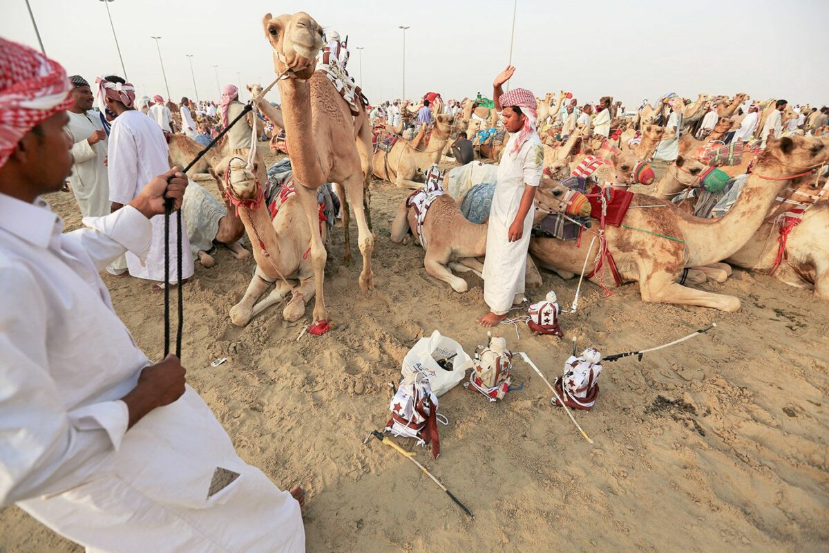 Camel Race A Captivating Photography Series By Alexandre Mounayer 5