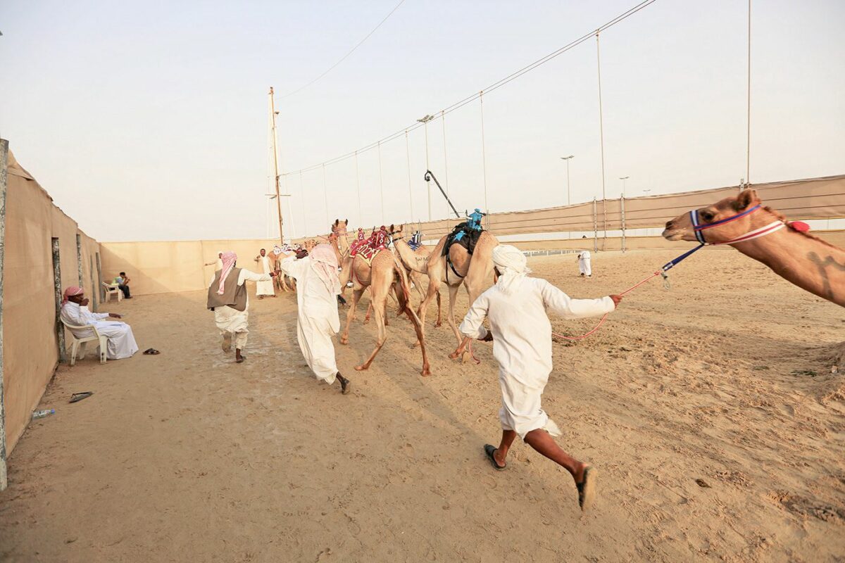 Camel Race A Captivating Photography Series By Alexandre Mounayer 6