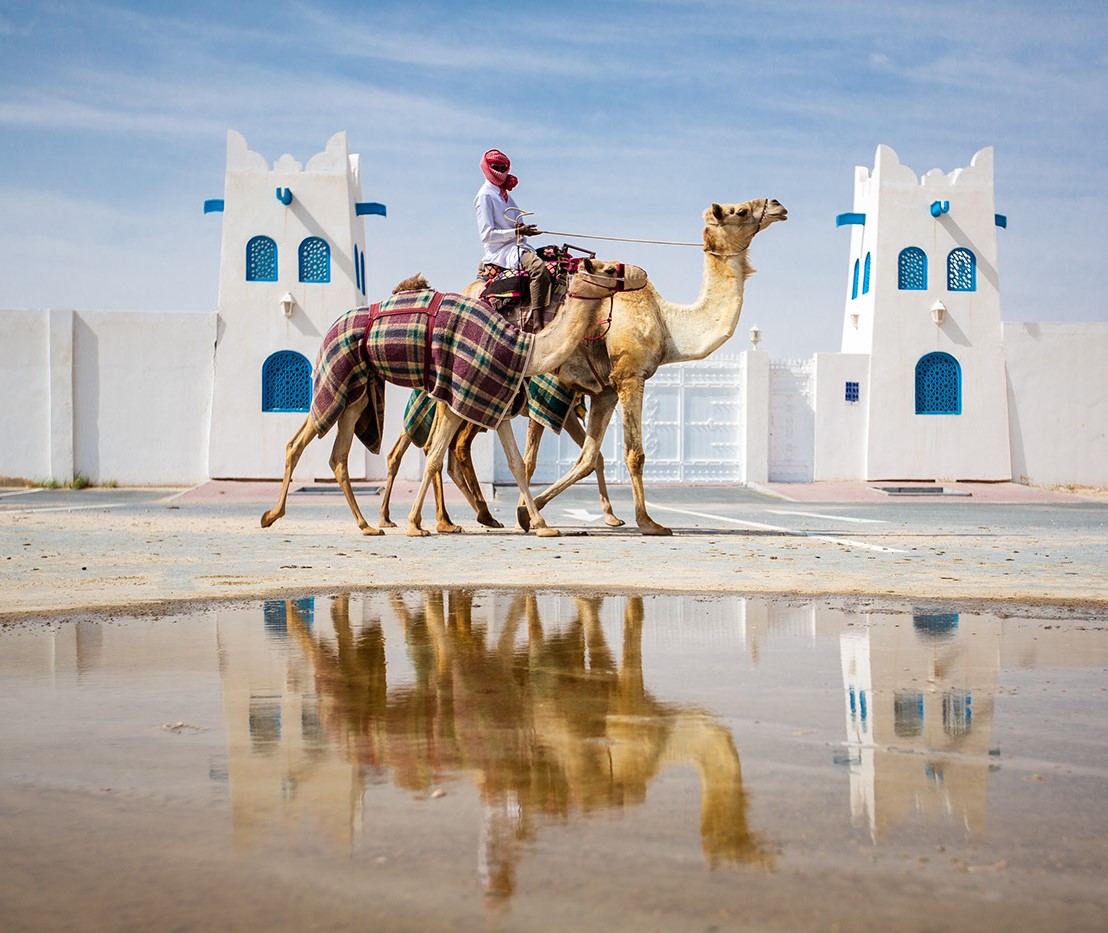 Camel Race: a captivating photography series by Alexandre Mounayer