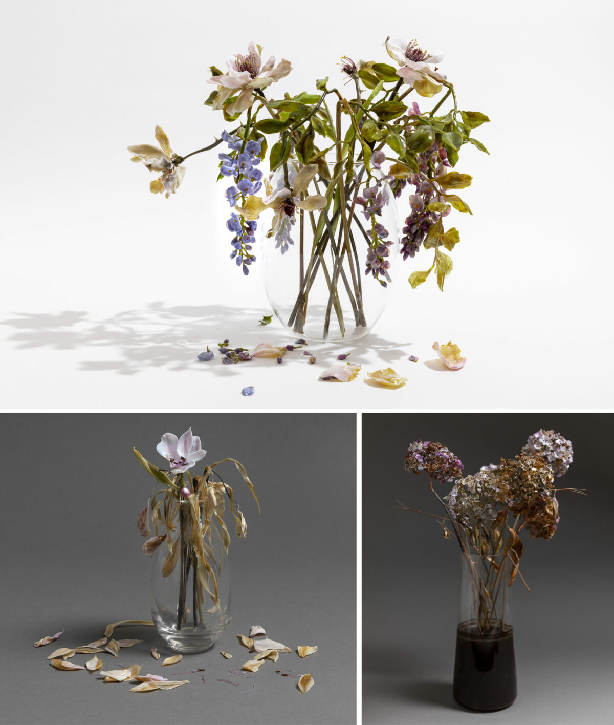 Glass Still Life Fascinating Sculptures By Lilla Tabasso 12