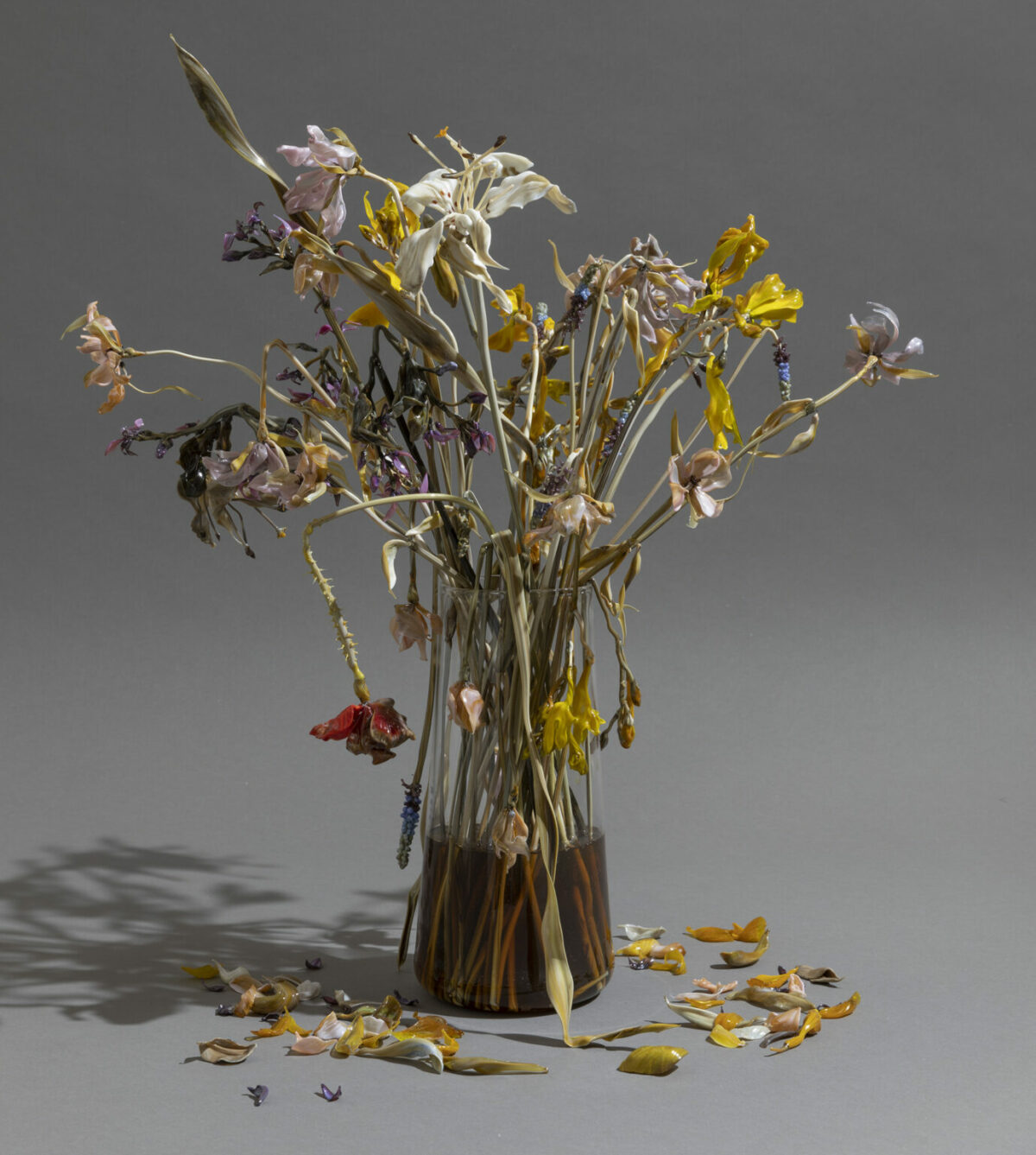Glass Still Life Fascinating Sculptures By Lilla Tabasso 13