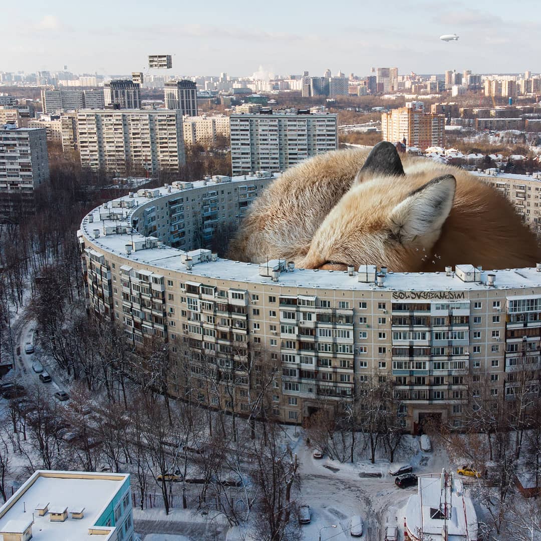 Incredible Compositions Of Giant Animals In Russian Urban Spaces By Vadim Solovyov 3