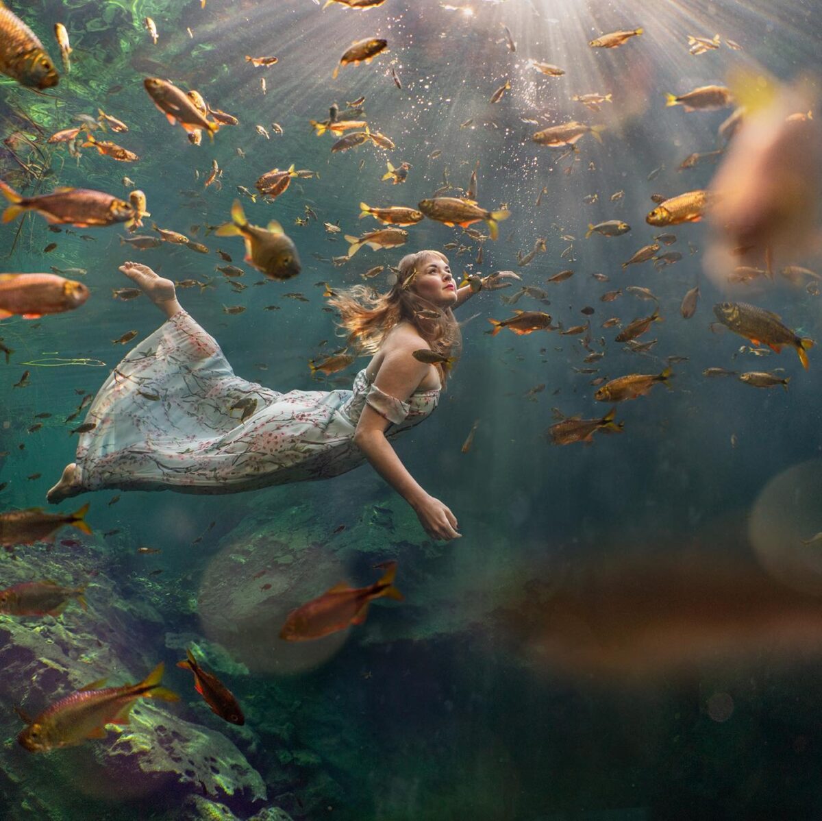 The Majestic Underwater Photography Of Lexi Laine 10