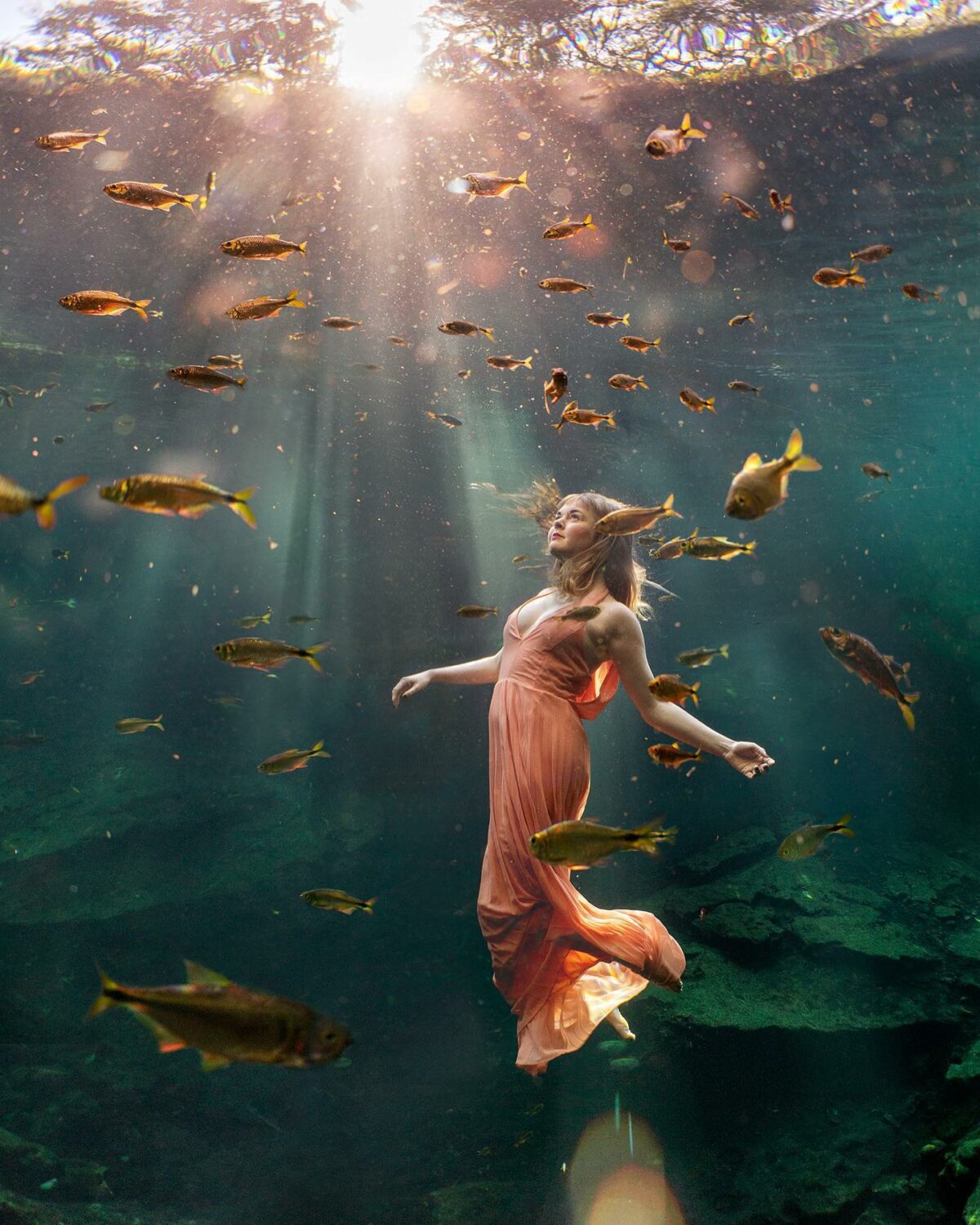 The Majestic Underwater Photography Of Lexi Laine 5