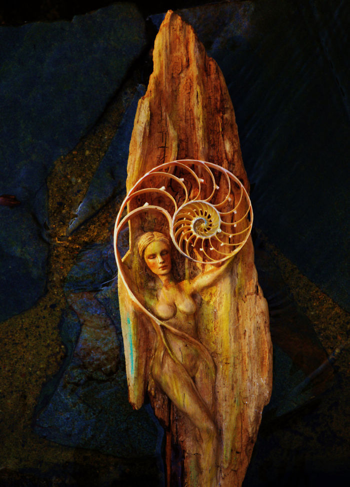 Elements Of Nature Transformed Into Stunning Mystical Sculptures By Debra Bernier 35