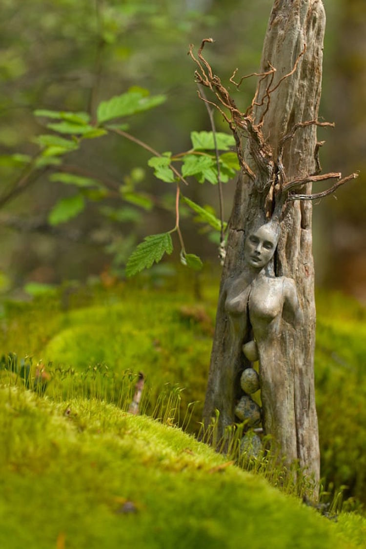 Elements Of Nature Transformed Into Stunning Mystical Sculptures By Debra Bernier 8